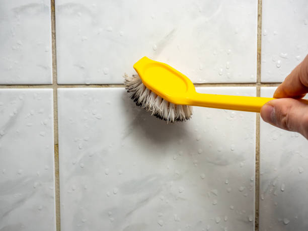 Best Mold Remediation  in Cleburne, TX